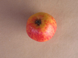 Apfel1 klein
